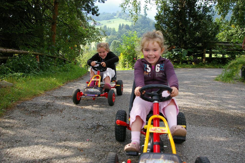 Bio-Bauernhof Rettenbachgut Werfen Bagian luar foto