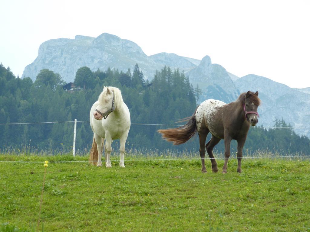 Bio-Bauernhof Rettenbachgut Werfen Bagian luar foto