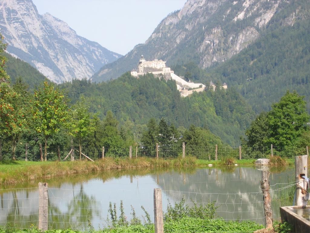 Bio-Bauernhof Rettenbachgut Werfen Bagian luar foto